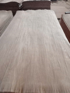 ไม้อัดปอกเปลือกดีไซน์เรียบง่ายทันสมัยสำหรับเฟอร์นิเจอร์จากไม้เนื้อเอเชียแผ่นไม้อัดไม้อัดปอกเปลือกแบบเขตร้อนดีไซน์เรียบง่ายรับประกัน1ปี - Product Image 3