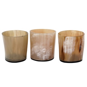 Bougeoir en corne de buffle biologique de haute qualité et porte-lampe en T Agate polie d'Inde Style animal unique - Product Image 2