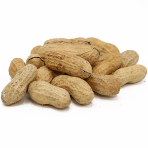 Quality Guaranteed Shelled <b>Peanuts</b> Offered For Wholesale Ensuring Premium Fresh Shelled <b>Peanuts</b> For Market Supply - Product Image 4
