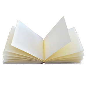 Album Fotografico per Matrimonio con Copertina in Raso, Fai-da-Te di Alta Qualità con Scatola - Product Image 2