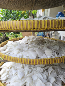 Viande de noix de coco séchée du Vietnam, tranches de noix de coco séchées les plus vendues, vente en gros en vrac, forte capacité de production, soutien - Product Image 3