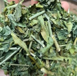 ใบคลินาแอนธัส นูแทนส์ แห้งธรรมชาติ 100% / หญ้างูซาบาห์ / ต้นงู สำหรับชาสมุนไพร - Product Image 3