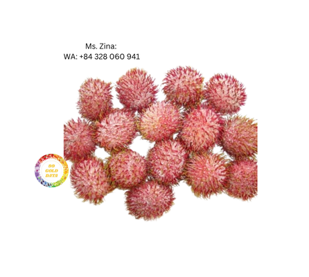 High Quality Frozen Rambutan IQF Frozen Rambutan Quality Frozen Fruit From Vietnam At Good Price
