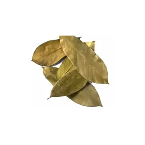 [LIMITED TIME OFFER] DRIED SOURSOP LEAVES: ORGANIC AND COOLING!