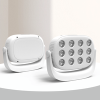 Appareil de luminothérapie portable SunPlus Mini à lumière rouge 660Nm 850Nm, panneau de luminothérapie LED infrarouge proche à main, utilisation à domicile