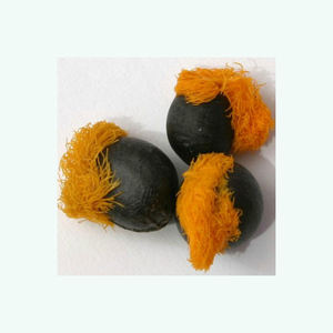 Graines d'oiseau de paradis de haute qualité fournies en vrac pour des projets d'exportation et d'aménagement paysager - Product Image 4