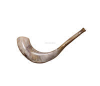 Shofar de cuerno natural orgánico para soplado y propósito religioso Shofar Kosher Cuerno de oveja Ram pulido