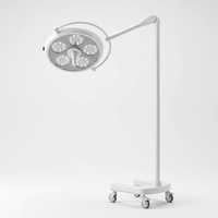 Lampe d'examen dentaire LED à 30 perles LED, sur pied mobile, pour clinique, hôpital, dentiste, OEM