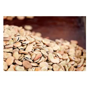 Grosir kelas pertanian kualitas Superior kacang ginjal alami biji flava terpisah seluruh untuk pembelian jumlah besar