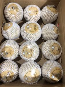 Noix de coco entière polie et nettoyée - Coquille naturelle brune, qualité export - Product Image 2