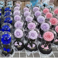 Vente en gros Grade A Eternal Rose Flowers Morthers Day Everlasting Préservé Flower Forever Roses In Glass Dome