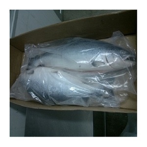 Salmón Atlántico de Primera Calidad, Entero, Fresco/Congelado, a Precio Económico - Product Image 2