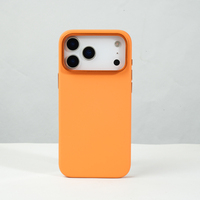 Coque en Silicone Liquide avec Cadre Photo et Support pour iPhone 17 Pro 16, Étui de Téléphone, Accessoires Téléphone Mobile