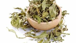 Mugwort แห้งที่มีคุณภาพสูงสำหรับการส่งออกในปริมาณมาก - Product Image 6