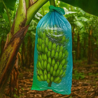 Sac banane en plastique d'usine du Vietnam pour la protection de la croissance sac de couverture de fruits PE bleu vert pour l'utilisation d'agriculture de ferme en gros