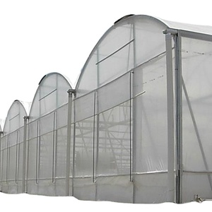Invernadero de forraje hidropónico grande con ventilación automática Agricultura tropical de varios tramos Otro invernadero para uso de plantas - Product Image 1