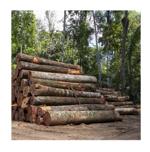 Solid Teak Wood <b>Logs</b> Premium Timber <b>Logs</b> for Furniture and Joinery - Product Image 1