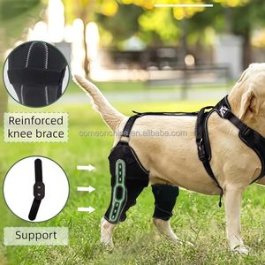 Attelle de genou pour chien pour jambes postérieures Acl déchirées Support de genou pour chien Jambe arrière avec arthrite Attelle de douleur pour jambe arrière Manchon de genou réglable - Product Image 2
