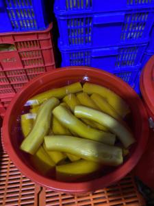 BANCHANG COREANO AMARILLO COREANO ENCURTIDO RÁBANO DANMUJI DE LOTO AZUL VIETNAM MEJOR PRECIO 2024 - Product Image 6