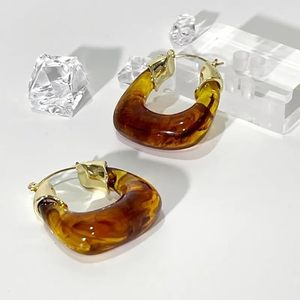 Grey Amber <b>Clear</b> <b>Resin</b> Earrings Solid Acrylic Chunky U Shape Big Hoop Earrings for Women Square Vintage Gold Plated Jewelry Hot - Product Image 5