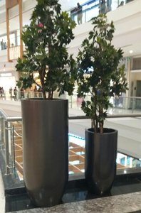 Juego de macetas de Interior de cerámica negra esmaltada con cilindro moderno de alta calidad 2023 para suculentas y flores, para el hogar o el jardín - Product Image 5