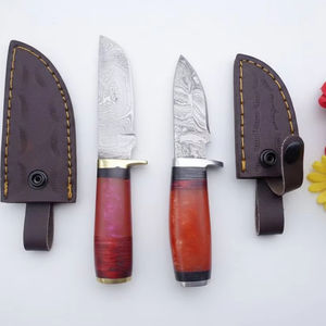 Juego de Cuchillos de Cocina de Acero al Carbono Hechos a Mano, de Hoja Fija, Cuatro Piezas, Ambidiestros, Ligeros, con Funda de Cuero y Mango de Madera, OEM - Product Image 1