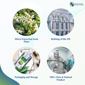 Huile de Harshringar en vrac, emballage personnalisé naturel pur à 100%, bouteille de 10ml, graines d'huiles essentielles de lavande thé rose orange, vente en gros - Product Image 4