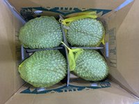 Diepvries Premium Durian uit Vietnam, klaar voor verzending, Monthong/Ri6, heel, vers, natuurlijk zoet, geel vruchtvlees, OEM