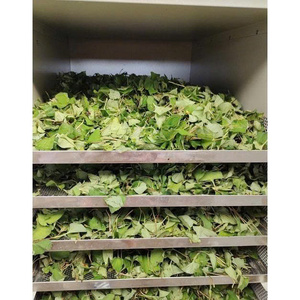 Hojas de Menta Secas Premium (Houttuynia Cordata) 100% Naturales, Grado Té Herbal, Estándar de Exportación a Granel Ms.May - Product Image 4