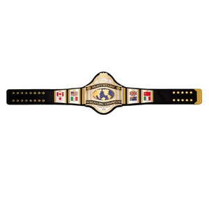 Legacy Championship Collector's Title Belt New WWF Never Give up Ceinture de lutte en argent Cuir véritable Vente en gros Spot It - Product Image 4