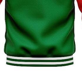 Reasonable rate Unisex Varsity Jacket light <b>weight</b> high quality best stuff best design varsity Jacket for man with full sleeves - Product Image 6