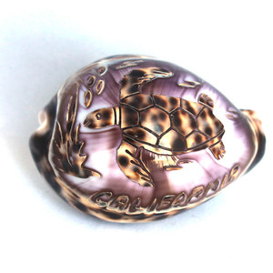 เปลือกหอยที่ปรับแต่งได้สลักมือแกะสลักเปลือกหอยทะเล Cowry Cowry ที่มีรูปแบบที่แตกต่างกัน - Product Image 1