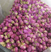 Ingrédient d'origine vietnamienne de fleur de Gomphrena globosa séchée naturelle pure pour la fabrication de pot-pourri et de thé