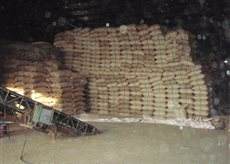 Vilaconic Organic Robusta Coffee <b>Beans</b> Grade 1 From Dak Lak Vietnam SCR13/SCR16/SCR18 - Product Image 5