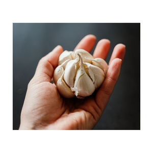 Ail Blanc Frais Biologique 20kg Sacs en Filet/Cartons Prix Usine Légumes de Haute Qualité Belgique Durée de Conservation 12 Mois Personnalisable - Product Image 5