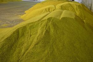 Chất phụ gia thức Ăn Đậu Nành Chất lượng cao cho thức ăn chăn nuôi tối ưu và đảm bảo thành phần thức ăn năng suất cao - Product Image 3