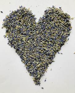 Lavande séchée de qualité culinaire sans danger pour les aliments, bourgeons violets parfumés pour la tisane, la pâtisserie, la mixologie et les infusions de saveurs naturelles - Product Image 4