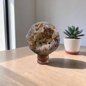 Esfera de Coral Agatizado Natural, Bola de Cristal de Coral Fósil Grande, Especímen Mineral Pulido, Piedra de Exhibición para Coleccionistas - Product Image 1