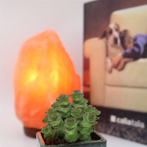 Venta al por mayor de cristal rosa del Himalaya, efecto de llama, artesanías naturales, sal del Himalaya, Lamp10-15kg - Product Image 4