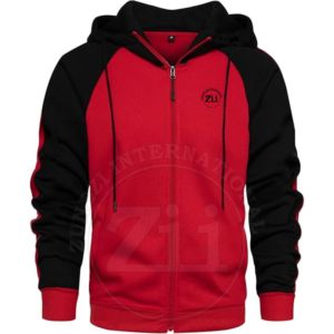 Sweat-shirts à capuche pour hommes de haute qualité, 100% coton, broderie, impression par transfert thermique, polaire épais, uni, léger - Product Image 1