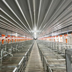 Jaulas de jaulas de gestación para cerdos en gestación Acero inoxidable de Vietnam Fabricante Venta caliente - Product Image 2