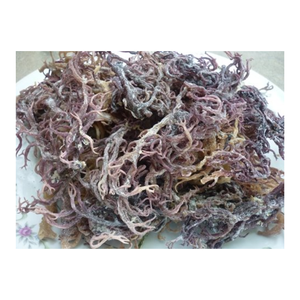 Musgo de mar irlandés seco Wildcrafted de alta calidad para ensalada Seamoss Algas marinas Eucheuma Cottonnii secas y limpias - Product Image 4