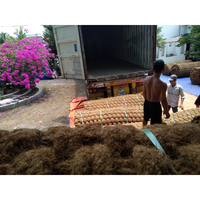 Tapis en fibre de coco tissée en gros pour pavage et paillassons – Écologique et durable pour usage extérieur – Bon prix direct usine
