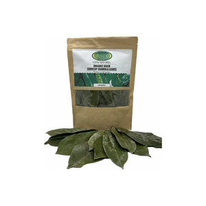 HOJAS DE SOURSOP SECAS HOJAS DE GRAVIOLA MEJOR PRECIO MIA + 84984012434 DE VIETNAM - Product Image 5