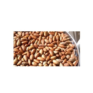 ถั่วโคลารสขม/ถั่วส้ม/ถั่วโคล่าสดจากธรรมชาติ - Product Image 1