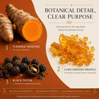 Complément Liquide de Curcuma et Curcumine OEM 50ml avec Extrait de Poivre Noir pour une Biodisponibilité Maximale et le Soutien Articulaire ODM
