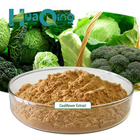 Extrait de chou-fleur biologique de qualité alimentaire sous forme de poudre, extrait par solvant à partir de la racine et des feuilles, emballé dans un bidon en plastique
