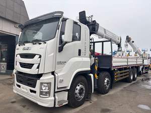 Grúa Montada en Camión Isuzu 8x4 con Pluma de Largo Alcance para Elevación en Construcción, Mantenimiento de Servicios Públicos y Manejo de Carga - Product Image 5