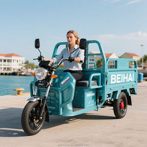 Triciclo eléctrico de alta calidad para transporte de carga duradera de largo alcance - Product Image 1
