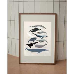 Póster de varias especies de ballenas con marco negro para decoración de pared - Product Image 5